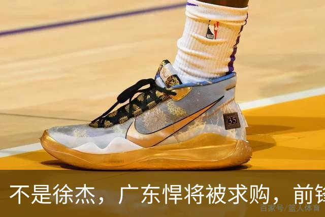 不是徐杰，广东悍将被求购，前锋，杜锋看重，转会费或8位数