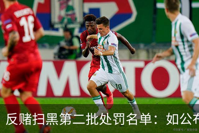 反赌扫黑第二批处罚名单：如公布 应与准入同步