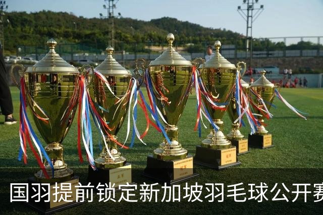 国羽提前锁定新加坡羽毛球公开赛女双冠军