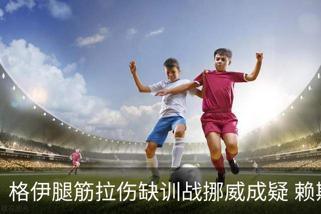 格伊腿筋拉伤缺训战挪威成疑 赖斯胃部不适和队友隔离
