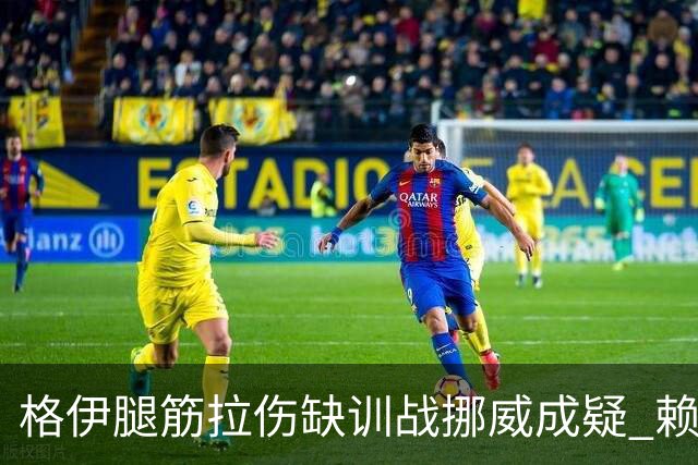 格伊腿筋拉伤缺训战挪威成疑 赖斯胃部不适和队友隔离