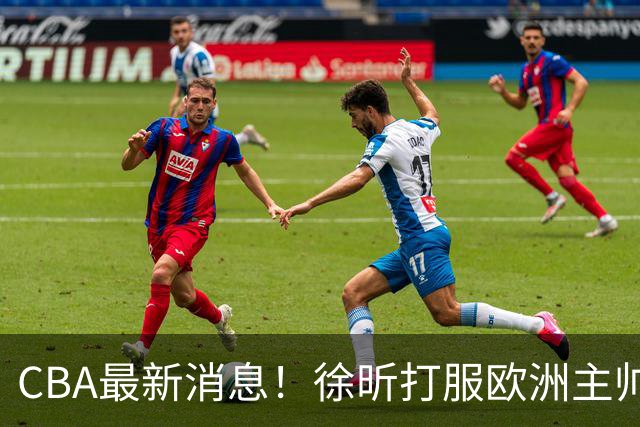 CBA最新消息！徐昕打服欧洲主帅，上海票价涨10倍，胡金秋伤病出炉